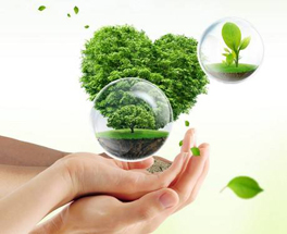 關(guān)于室內(nèi)環(huán)保裝修,這六點(diǎn)你得了解